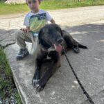 496964838 1086363800188100 9007978215259199838 n