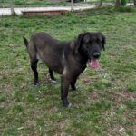 497313199 1086363560188124 2545173028670232200 n