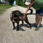 499735816 1103992581758555 2602709152313438092 n