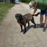 505437585 1103992401758573 7828825308110326133 n