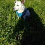 506533926 1107592534731893 14146848105442837 n