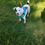 506534094 1107592421398571 3863347899398573799 n