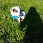 506608089 1107592608065219 9111704978200225871 n