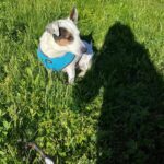 506635694 1107592418065238 5908407288643302612 n