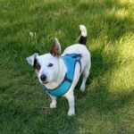 506646644 1107593808065099 1758267172608714649 n