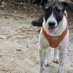 514278651 1158026596355153 1110784167841315661 n