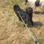 515439179 1152144650276681 2324466329153265861 n