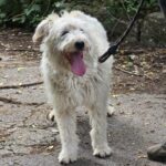 516365339 1124978296326650 643596433941327625 n