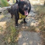 516384227 1152144630276683 7137665514194693962 n