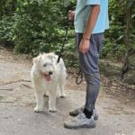 516517676 1124978302993316 1253394328717229030 n