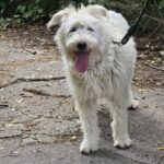 516595266 1124978259659987 567172463640517603 n