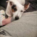 518288880 1136061468551666 7819075824074535999 n