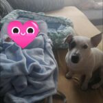 518372027 1136061708551642 4540820348434125821 n