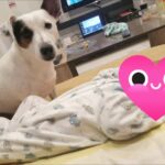 518405689 1136062188551594 5529809121743682766 n