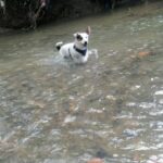 522559862 1136061301885016 3979630701060571174 n