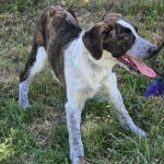 523381379 1140888364735643 4708108257338592047 n