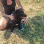 529814197 1152143883610091 1269004322102020269 n