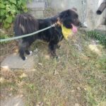 529891410 1152143603610119 3426875456372381924 n