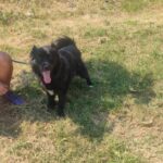 530248263 1152142946943518 8958461054102874065 n