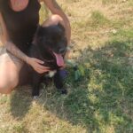 530364318 1152144003610079 5536440418368072847 n