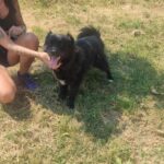 530468110 1152143233610156 700696224725195454 n