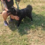 530498285 1152143780276768 8611994419668183591 n