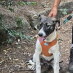 532550712 1158026656355147 5297433352289537498 n