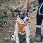 534375319 1158026613021818 1705588050155913645 n