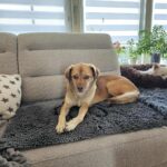 540003755 1171090475048765 444752833120959741 n