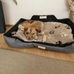 540699757 1171090521715427 9213803232057884241 n