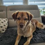 540842967 1171090495048763 5830232481956975508 n