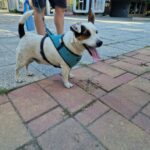 542065735 1171728271651652 4572152582006008059 n