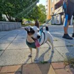 542753055 1171728171651662 1773803037924102739 n