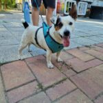 542754690 1171728181651661 1259727062898672761 n