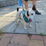 542756126 1171728168318329 2949483878193587366 n