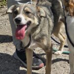 543363840 1177276307763515 5107634166030933833 n