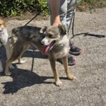 545188888 1177276371096842 472413492487416735 n