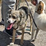 545419500 1177276091096870 2611183117218949186 n