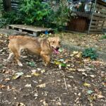 546561893 1180526424105170 8220446195808698493 n