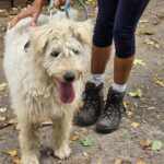 547291190 1185361113621701 134957082446623522 n