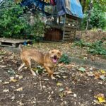 547573705 1180526677438478 6182192181350828606 n