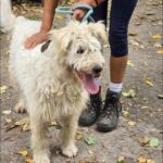 549832591 1185360350288444 942185239114908252 n