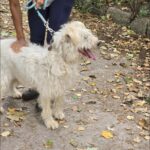 550082298 1185360430288436 7836244628992072511 n