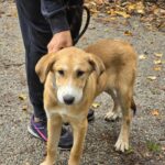 555103644 1211730920984720 445945628055526547 n