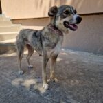 558108778 1202044361953376 7084660184064029009 n