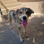 558292429 1202044461953366 3986513989498211188 n