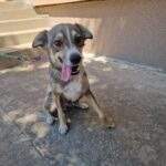 558767604 1202044311953381 4284740681861807329 n