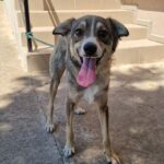 558829472 1202044408620038 4348845296527988901 n