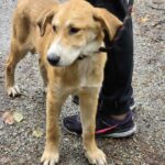 560455149 1211731000984712 5147999841620081976 n 1