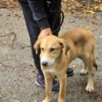 561055172 1211730994318046 5519541202210679408 n